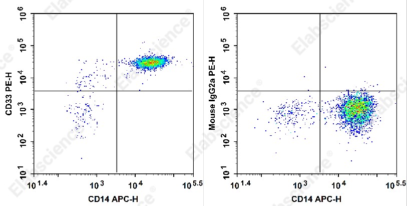 PE Anti-Human CD33 Antibody[HI33a] - 1