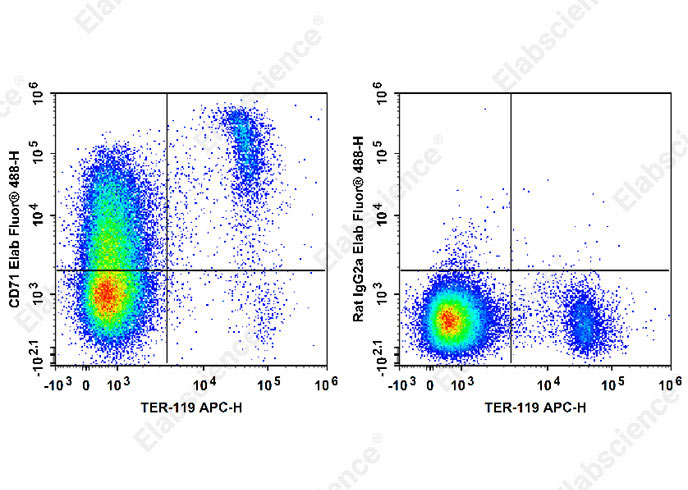 Elab Fluor® 488 Anti-Mouse CD71 Antibody[R17 217.1.3/TIB-219]-1