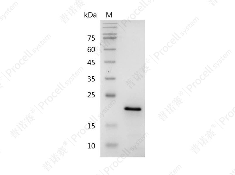 https://789.bio/ec/iiaSxH