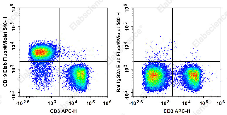 Elab Fluor® Violet 540 Anti-Mouse CD19 Antibody[1D3]-1