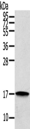 loading