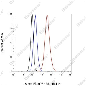 Recombinant PAK3 Monoclonal Antibody - 4