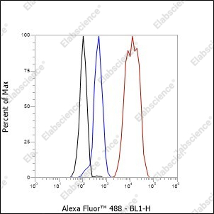 Recombinant HMGCR Monoclonal Antibody - 3