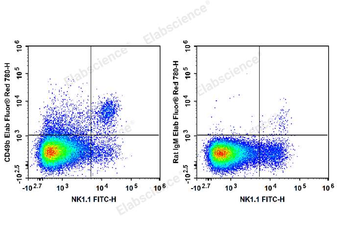 C57BL/6 murine splenocytes are stained with FITC Anti-Mouse NK1.1 Antibody and Elab Fluor® Red 780 Anti-Mouse CD49b Antibody (Left). Splenocytes are stained with FITC Anti-Mouse NK1.1 Antibody and Elab Fluor® Red 780 Rat IgM, κ Isotype Control (Right).