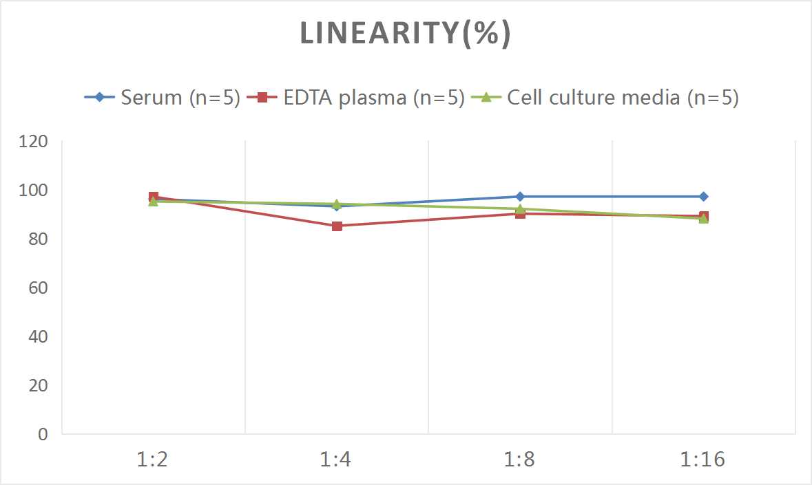 Rat IL-6(Interleukin 6) ELISA Kit-产品推荐-9