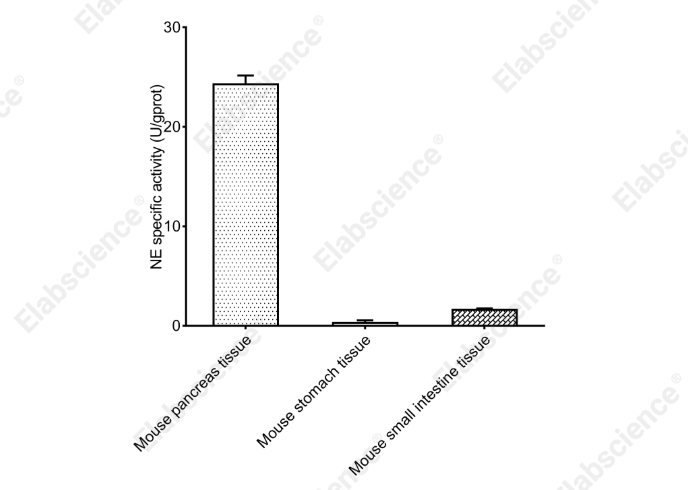 Neutrophil Elastase (NE) Activity Colorimetric Assay Kit - 2