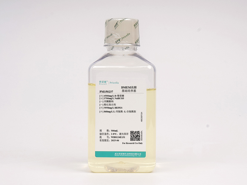 https://789.bio/ec/iqLCCK
