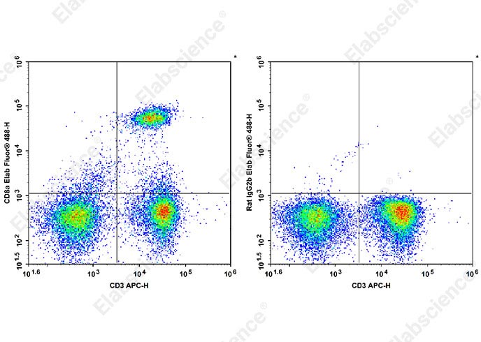 Elab Fluor® 488 Anti-Mouse CD8a Antibody[YTS 105.18]-1