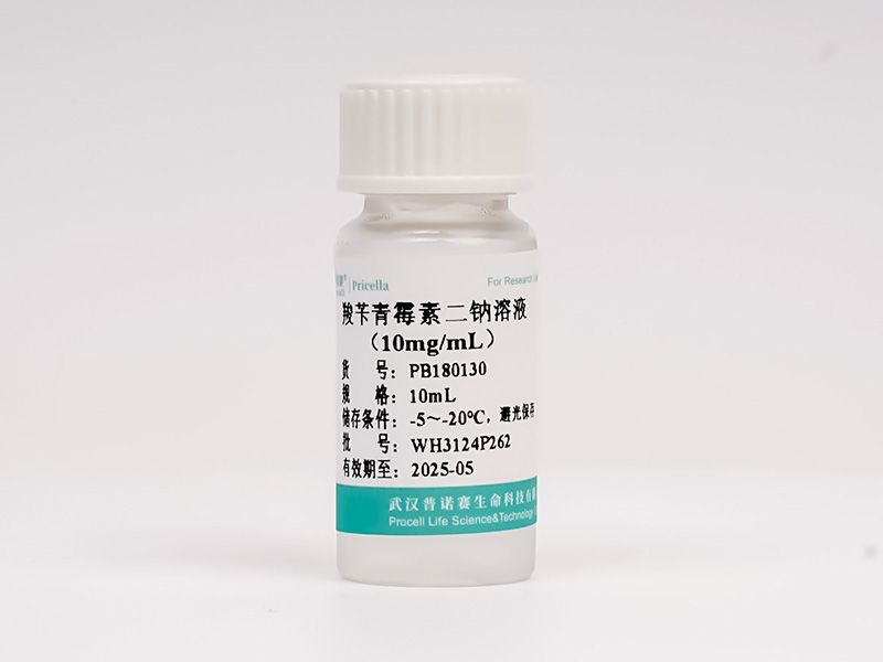 https://789.bio/ec/iuW1tD
