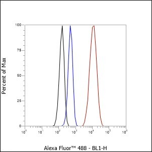 Recombinant Heme Oxygenase 1 Monoclonal Antibody - small - 9