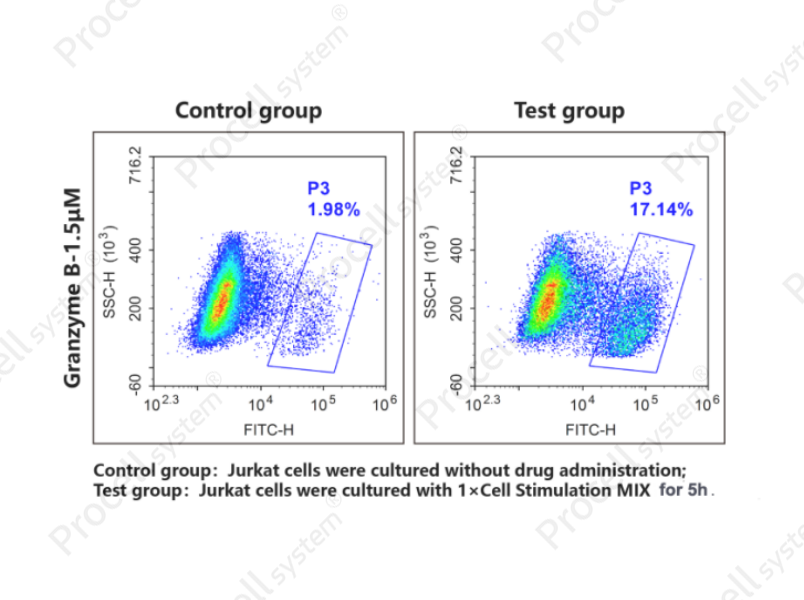 Human Granzyme B Activity Detection Substrate for Flow Cytometry