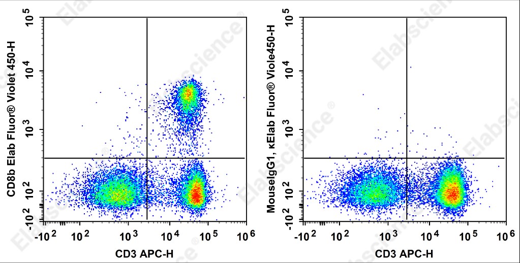 Elab Fluor<sup>&reg;</sup>Violet 450 Anti-Rat CD8b Antibody[341] - 1