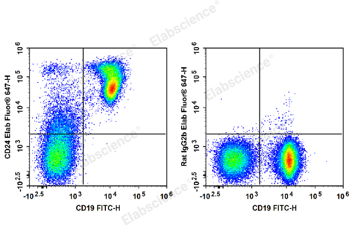 C57BL/6 murine splenocytes are stained with FITC Anti-Mouse CD19 Antibody and Elab Fluor® 647 Anti-Mouse CD24 Antibody (Left). Splenocytes are stained with FITC Anti-Mouse CD19 Antibody and Elab Fluor® 647 Rat IgG2b, κ Isotype Control (Right).