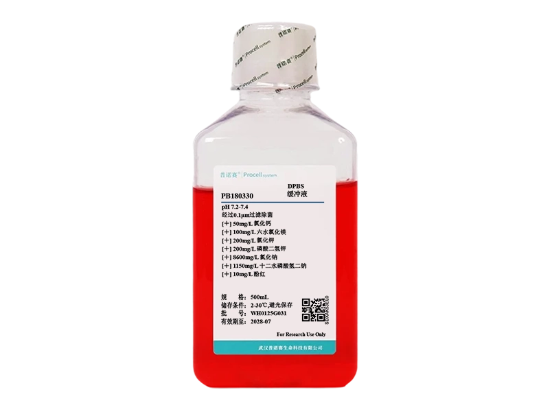 https://789.bio/ec/izFs7hVJ