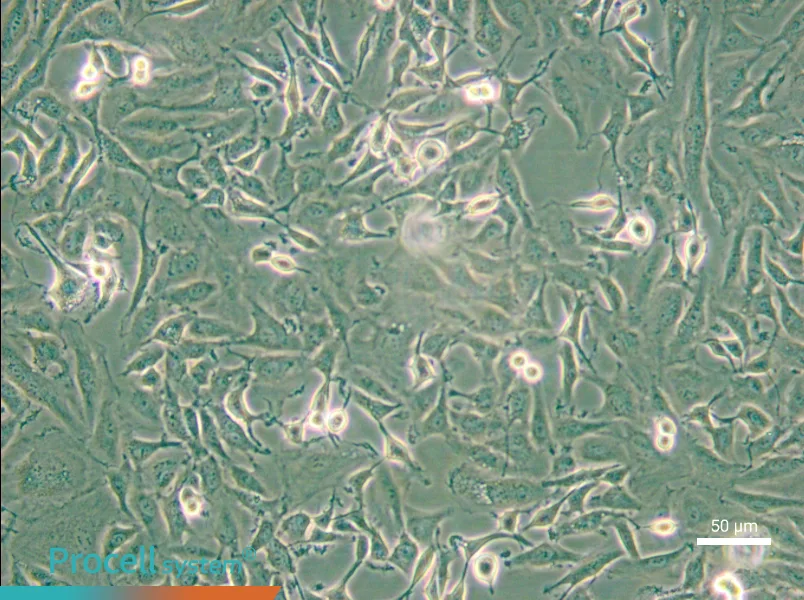 KTC-1 - 4