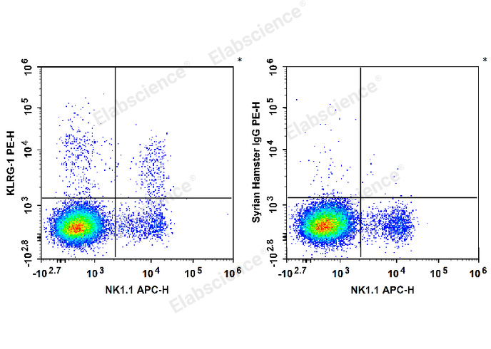 C57BL/6 murine splenocytes are stained with APC Anti-Mouse CD161/NK1.1 Antibody and PE Anti-Human/Mouse KLRG-1 Antibody (Left). Splenocytes are stained with APC Anti-Mouse CD161/NK1.1 Antibody and PE Syrian Hamster IgG Isotype Control (Right).