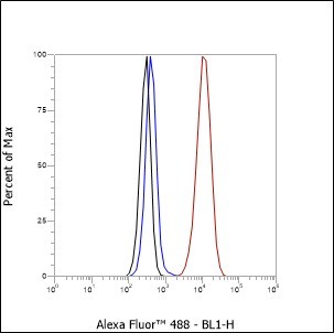 Recombinant PAP Monoclonal Antibody - small - 4