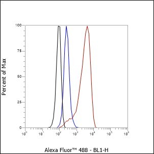 Recombinant IKK gamma Monoclonal Antibody - small - 4