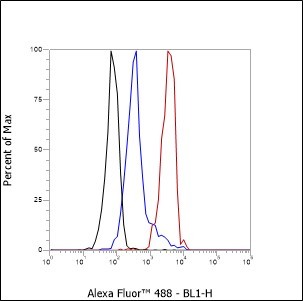 Recombinant CEACAM1 Monoclonal Antibody - small - 4