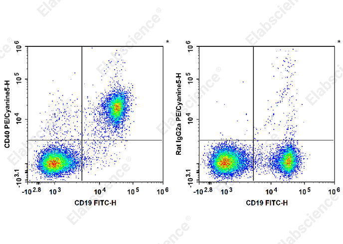 C57BL/6 murine splenocytes are stained with PE/Cyanine5 Anti-Mouse CD40 Antibody (filled gray histogram). Unstained splenocytes (empty black histogram) are used as control.