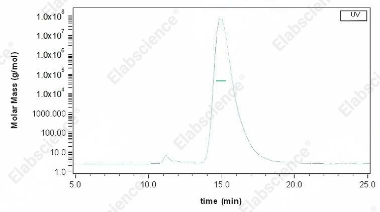 Recombinant Mouse CD64/FCGR1 Protein (His Tag) - 2