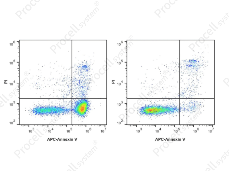 Annexin V-APC/PI Apoptosis KitAnnexin V-APC/PI Apoptosis Kit - 1