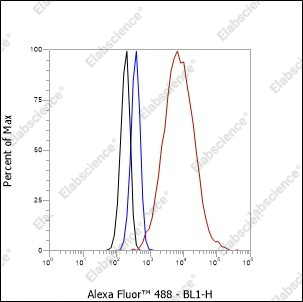 Recombinant Histone H1 (CT) Monoclonal Antibody - 5
