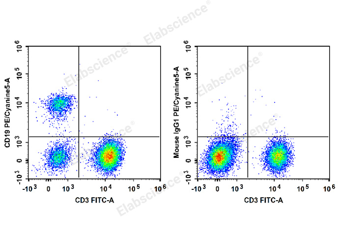 Human peripheral blood lymphocytes are stained with FITC Anti-Human CD3 Antibody and PE/Cyanine5 Anti-Human CD19 Antibody (Left). Lymphocytes are stained with FITC Anti-Human CD3 Antibody and PE/Cyanine5 Mouse IgG1, κ Isotype Control (Right).