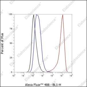 Recombinant IL-12 Monoclonal Antibody - 2