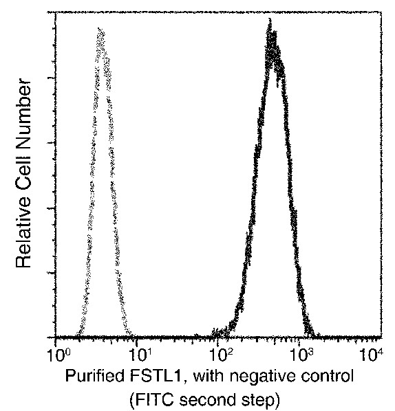 Recombinant FSTL1 Monoclonal Antibody - small - 1