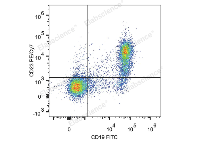 C57BL/6 murine splenocytes are stained with PE/Cyanine7 Anti-Mouse CD23 Antibody.