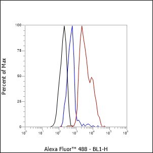 Recombinant Phospho-Cyclin D1 (Thr286) Monoclonal Antibody - small - 6