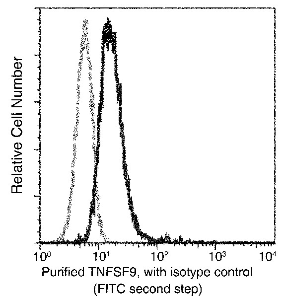 Recombinant 4-1BBL/CD137L/TNFSF9 Monoclonal Antibody - small - 2
