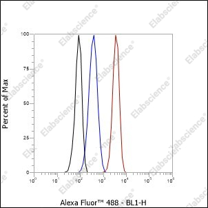 Recombinant ATG4B Monoclonal Antibody - 4