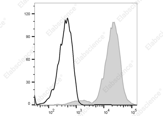 PE Anti-Human CD151 Antibody[50-6] - 1