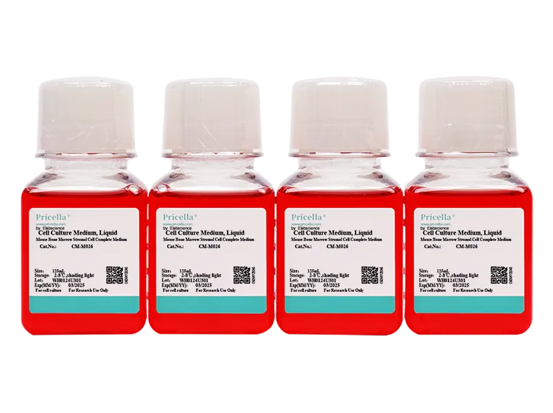 Mouse Bone Marrow Stromal Cell Complete Medium - small - 2