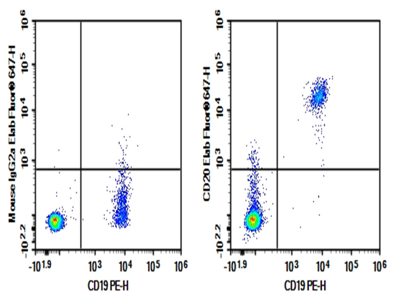 Purified Anti-Human CD20 Antibody[BCA/B20]-1