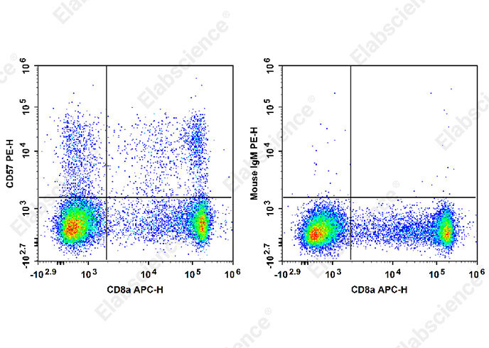 Human peripheral blood lymphocytes are stained with PE Anti-Human CD57 Antibody (filled gray histogram). Unstained lymphocytes (empty black histogram) are used as control.