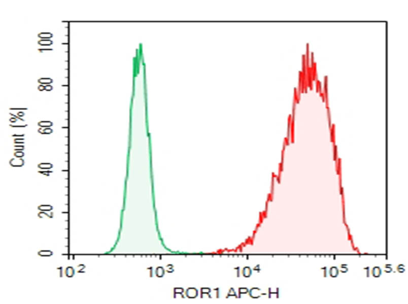 Purified Anti-Human ROR1 Antibody[DA009] - 1