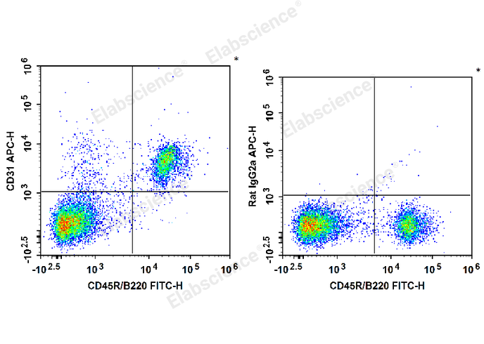 C57BL/6 murine bone marrow cells are stained with FITC Anti-Mouse CD45R/B220 Antibody and APC Anti-Mouse CD31 Antibody (Left). Bone marrow cells are stained with FITC Anti-Mouse CD45R/B220 Antibody and APC Rat IgG2a, κ Isotype Control (Right).