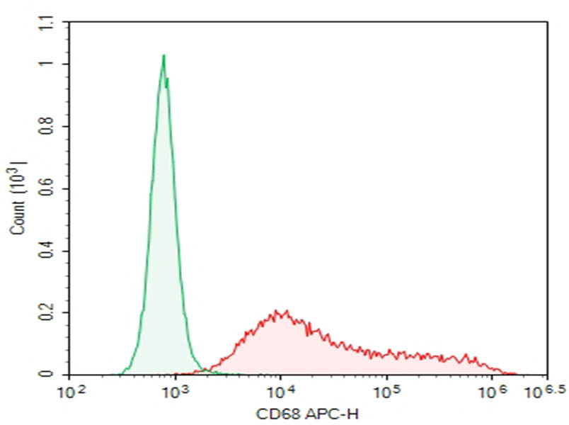 Purified Anti-Human CD68 Antibody[Y1/82A] - 1
