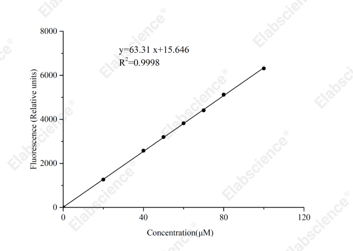 Angiotensin I Converting Enzyme 2（ACE2）Activity Fluorescence Assay Kit - 1