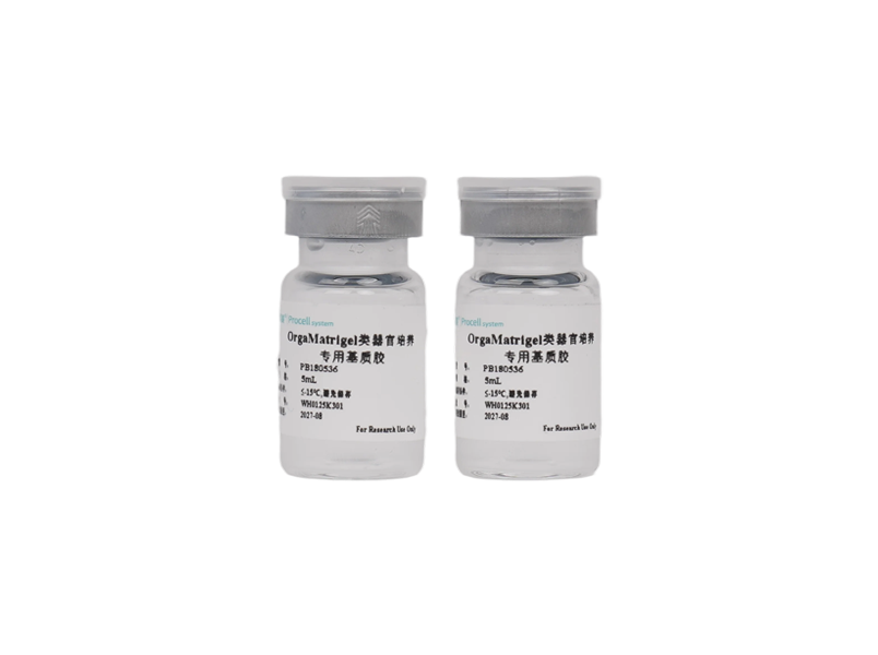 OrgaMatrigel Organoid Culture Specialized Matrix - 2