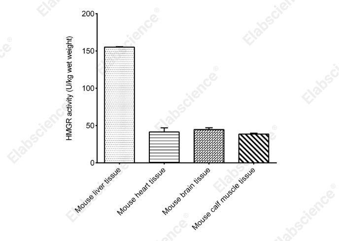 3-Hydroxy-3-Methylglutaryl Coenzyme A Reductase (HMGR) Activity Colorimetric Assay Kit - 1