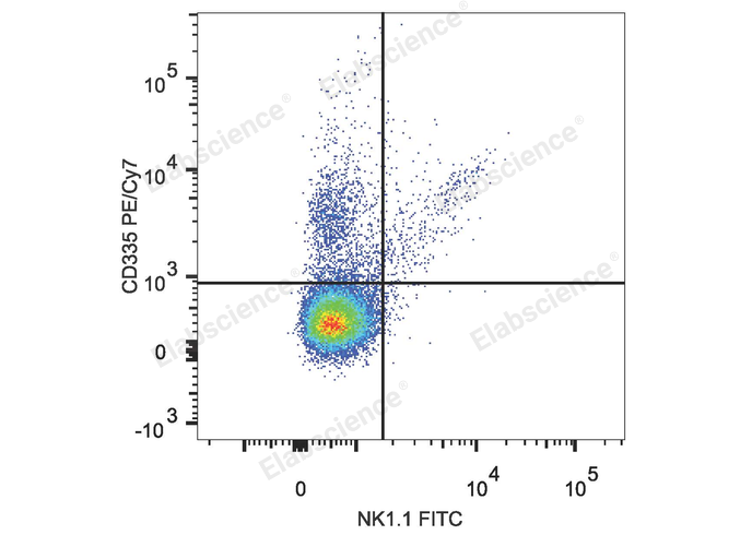 C57BL/6 murine splenocytes are stained with PE/Cyanine7 Anti-Mouse CD335 Antibody and FITC Anti-Mouse CD161/NK1.1 Antibody.