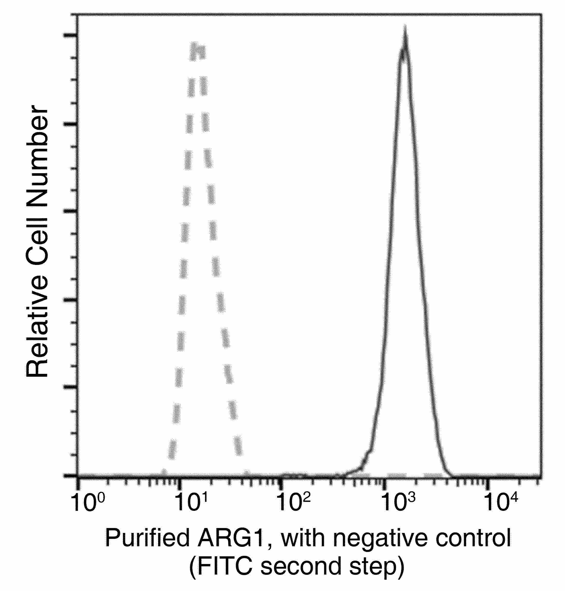 Recombinant ARG1/Arginase 1 Monoclonal Antibody - small - 4