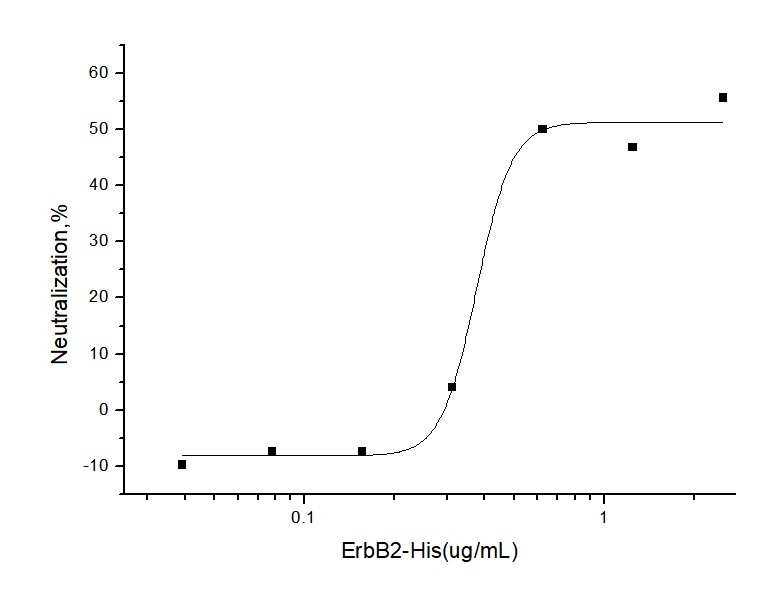 Recombinant Human HER2/ErbB2 Protein (His Tag) - small - 5