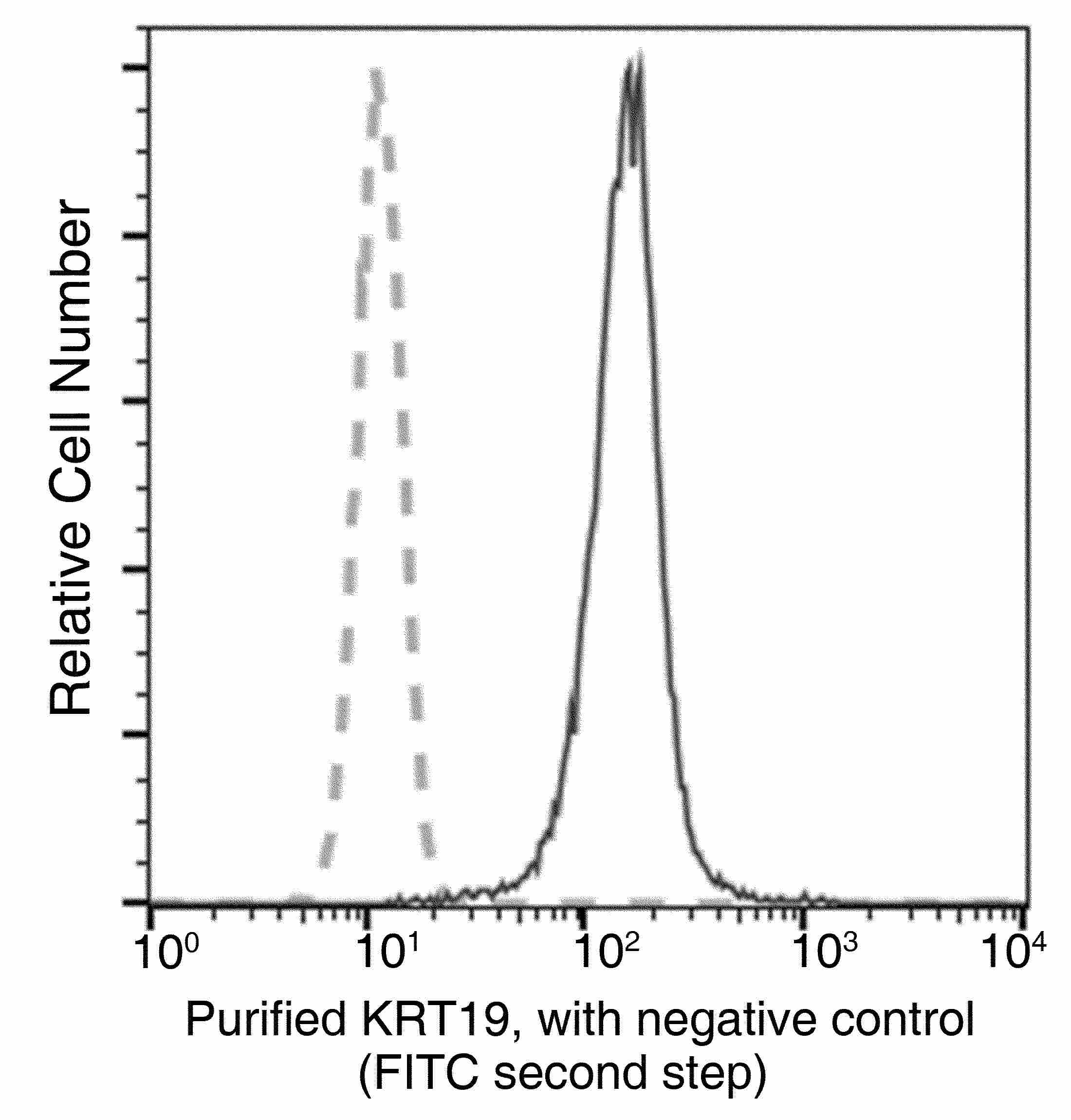 KRT19 Monoclonal Antibody - small - 3