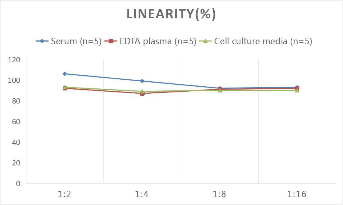 Human Respiratory Syncytial Virus (HRSV) IgG ELISA Kit-产品推荐-3