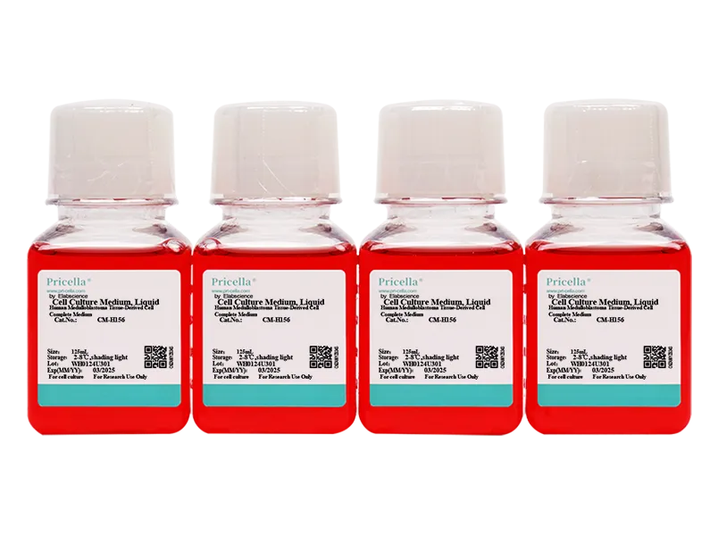 Human Medulloblastoma Tissue-Derived Cell Complete Medium - small - 2